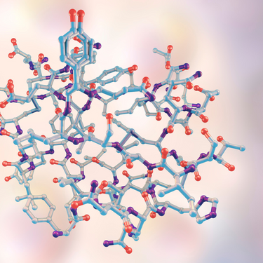 Metabolomix+ with Omega & Toxin Panels